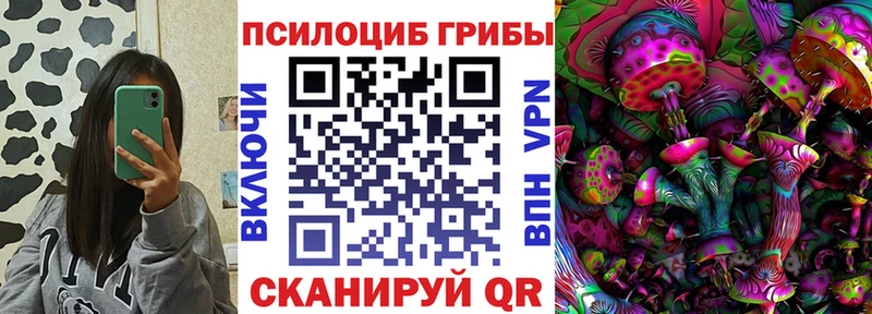 Галлюциногенные грибы мицелий  хочу   Олёкминск 